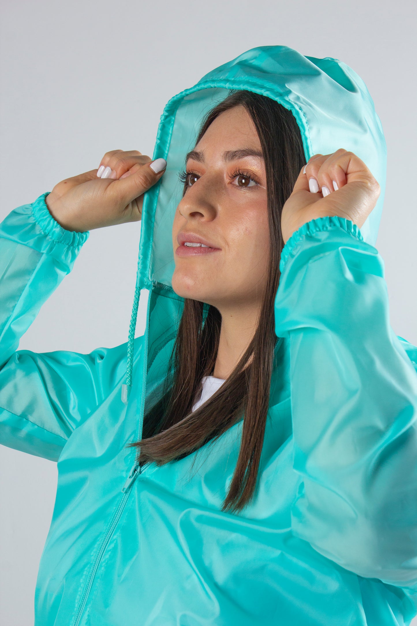 Rompeviento menta